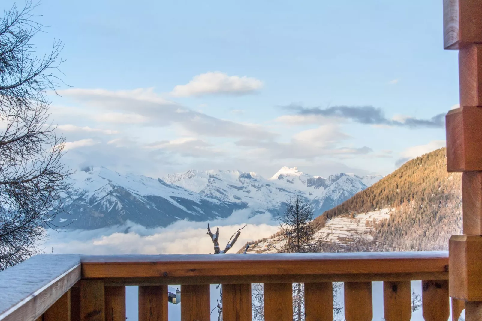 Harmonie-View winter