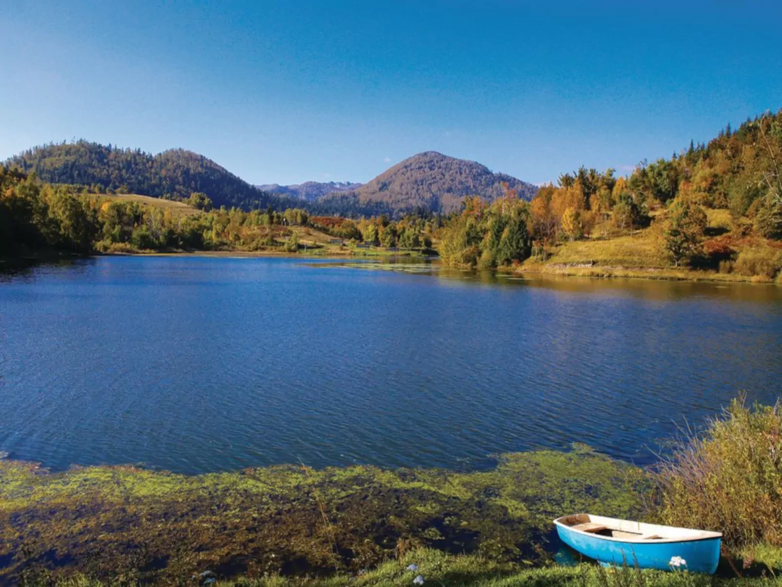Bazak-Area