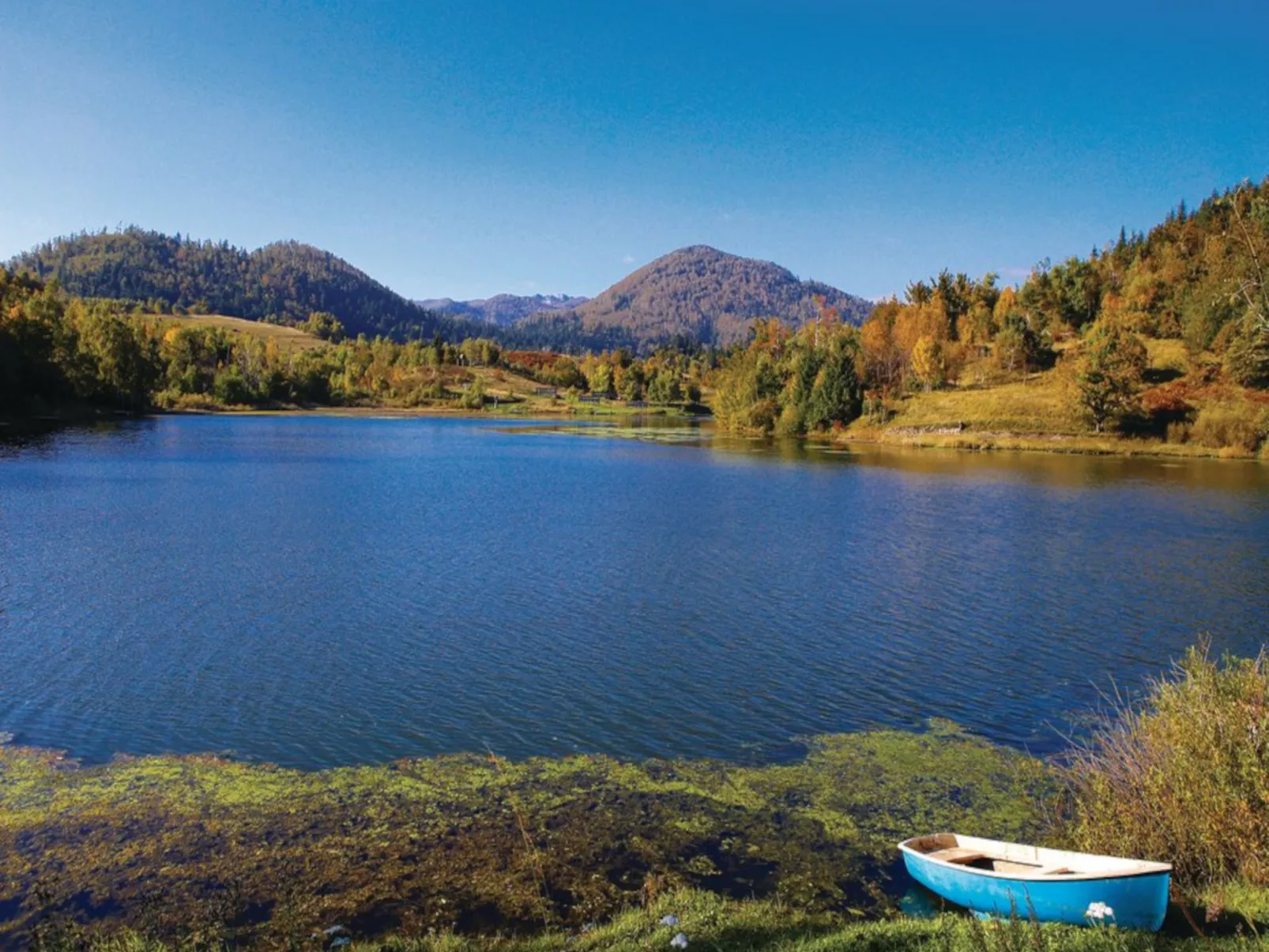 Lič-Area