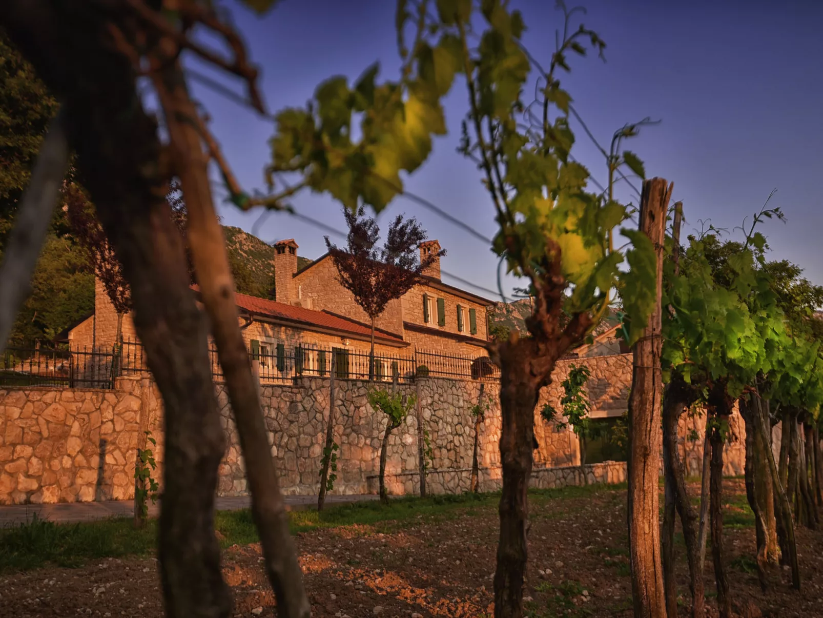 Villa Škavre-Outside