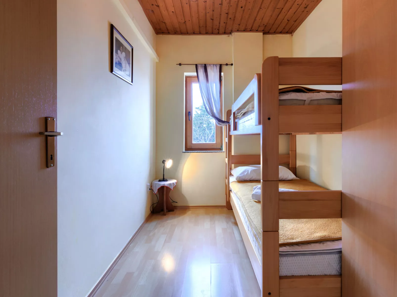 Ruža 2-Inside