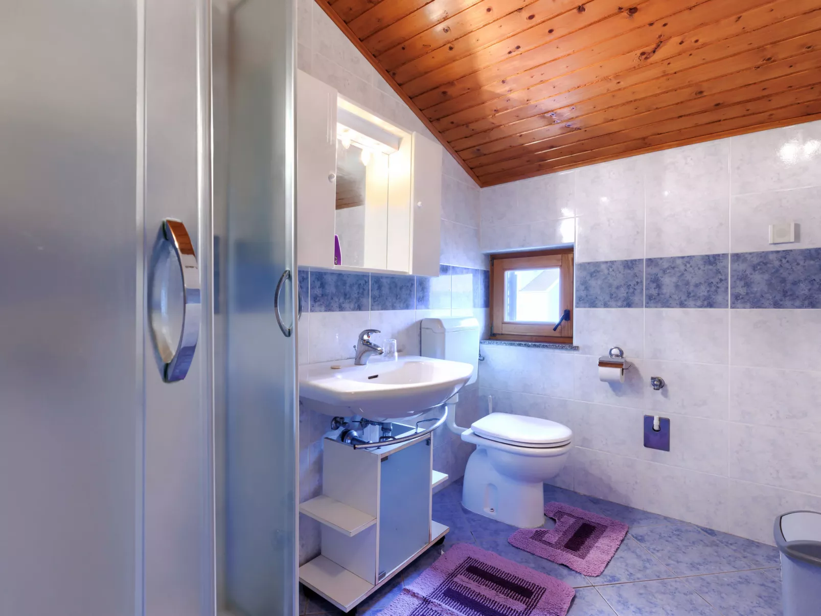 Ruža 1-Inside
