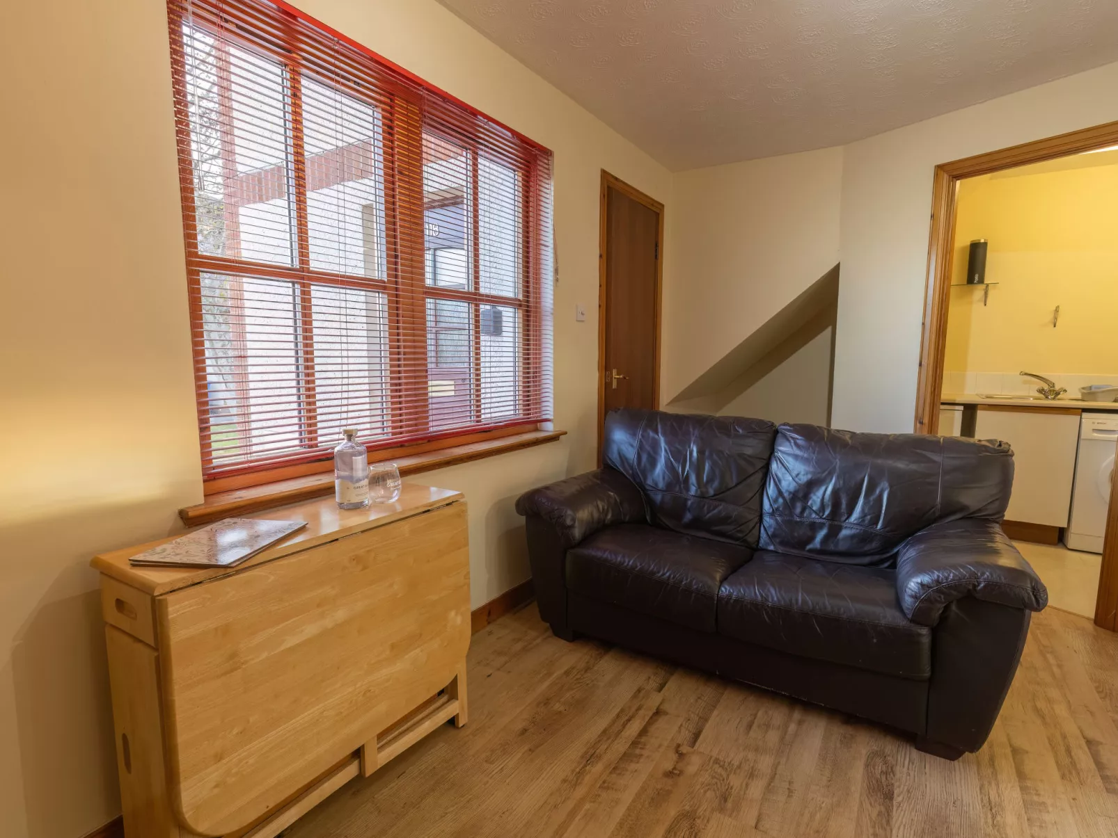Miller Apartment-Inside