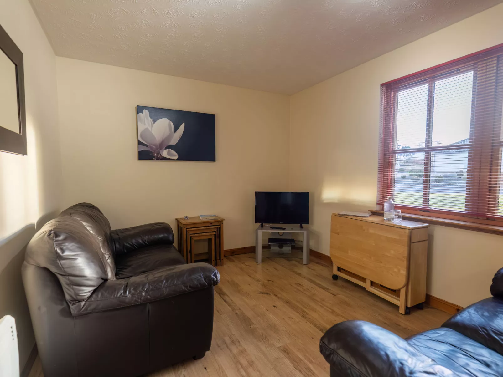 Miller Apartment-Inside