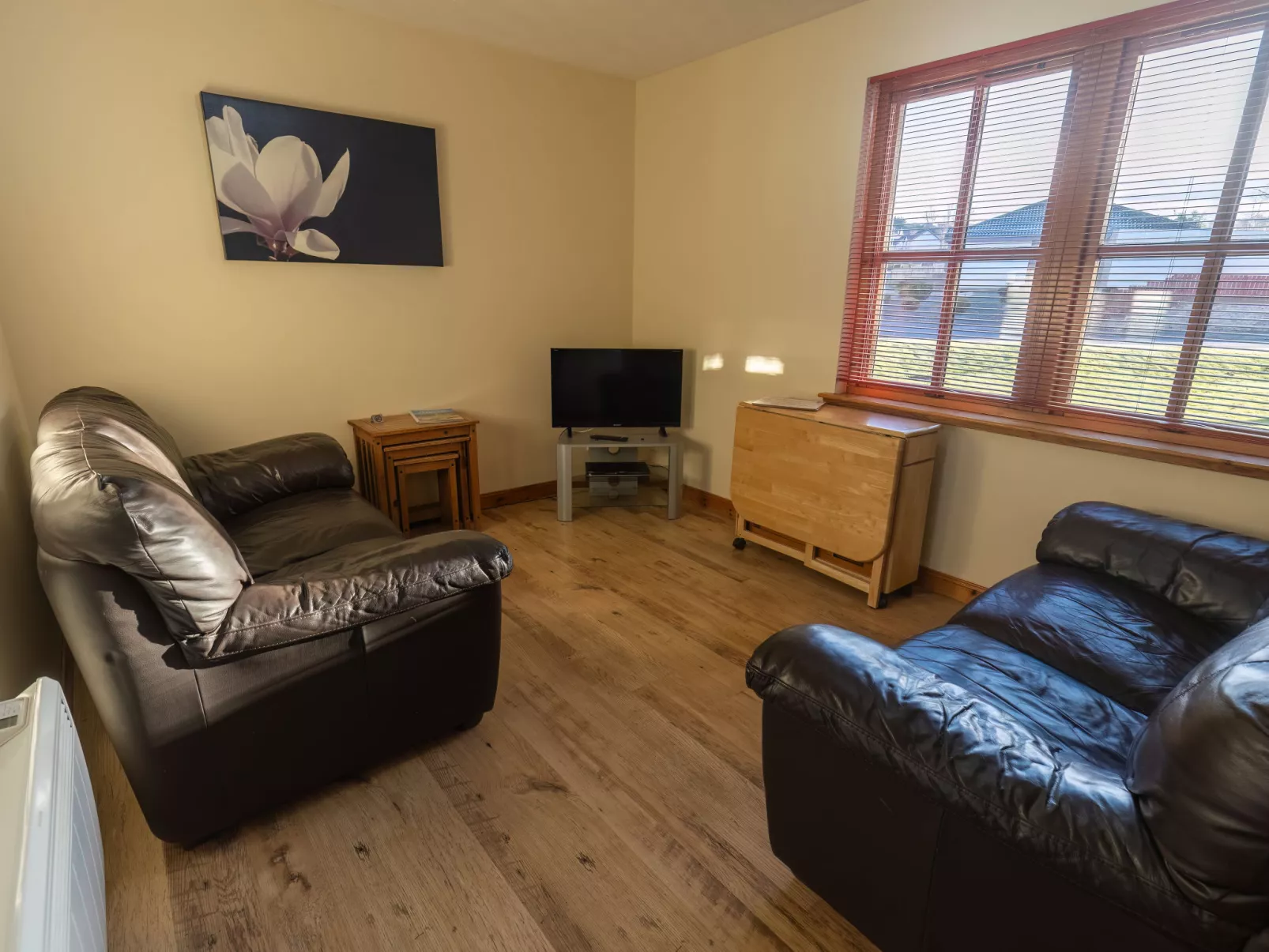 Miller Apartment-Inside