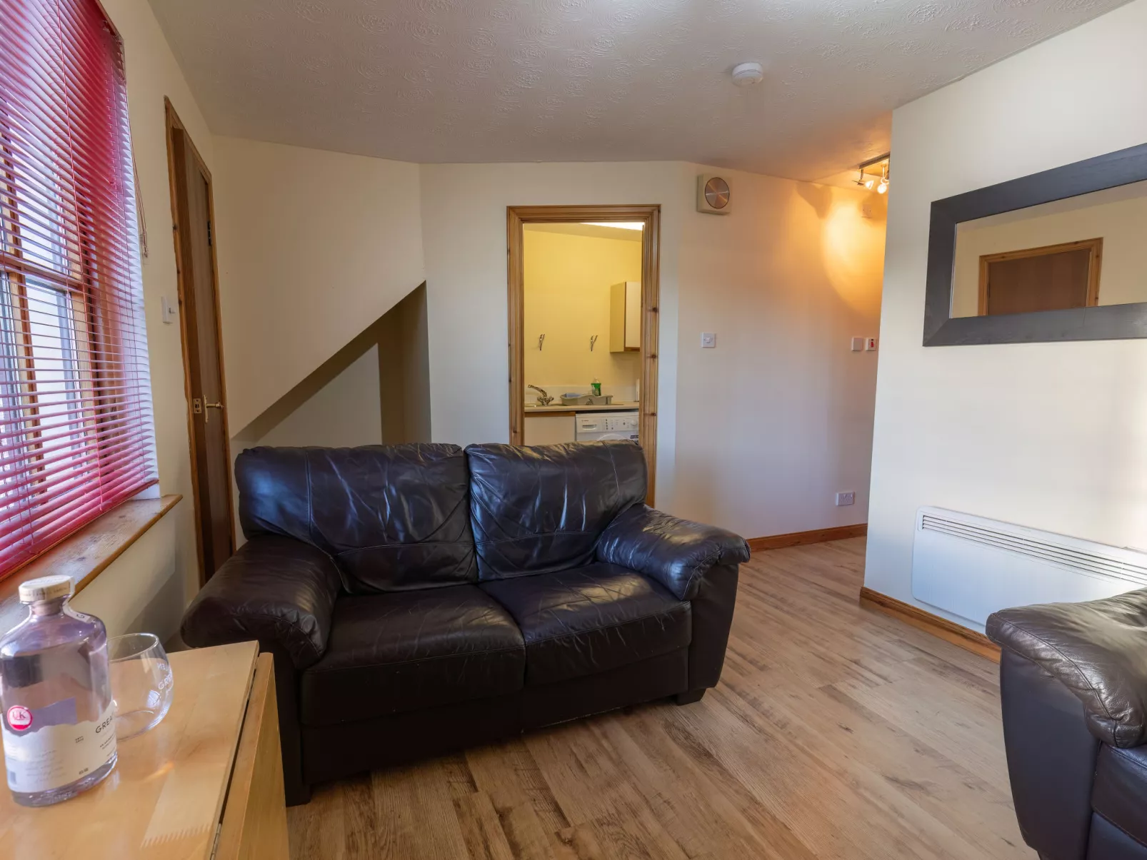 Miller Apartment-Inside