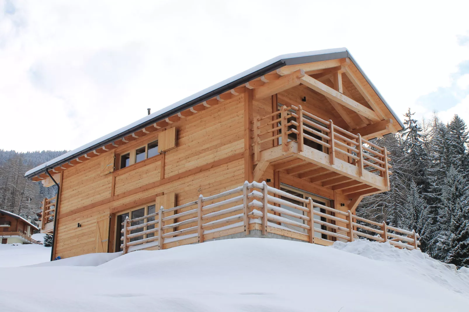 Chalet Panaga-Exterior winter