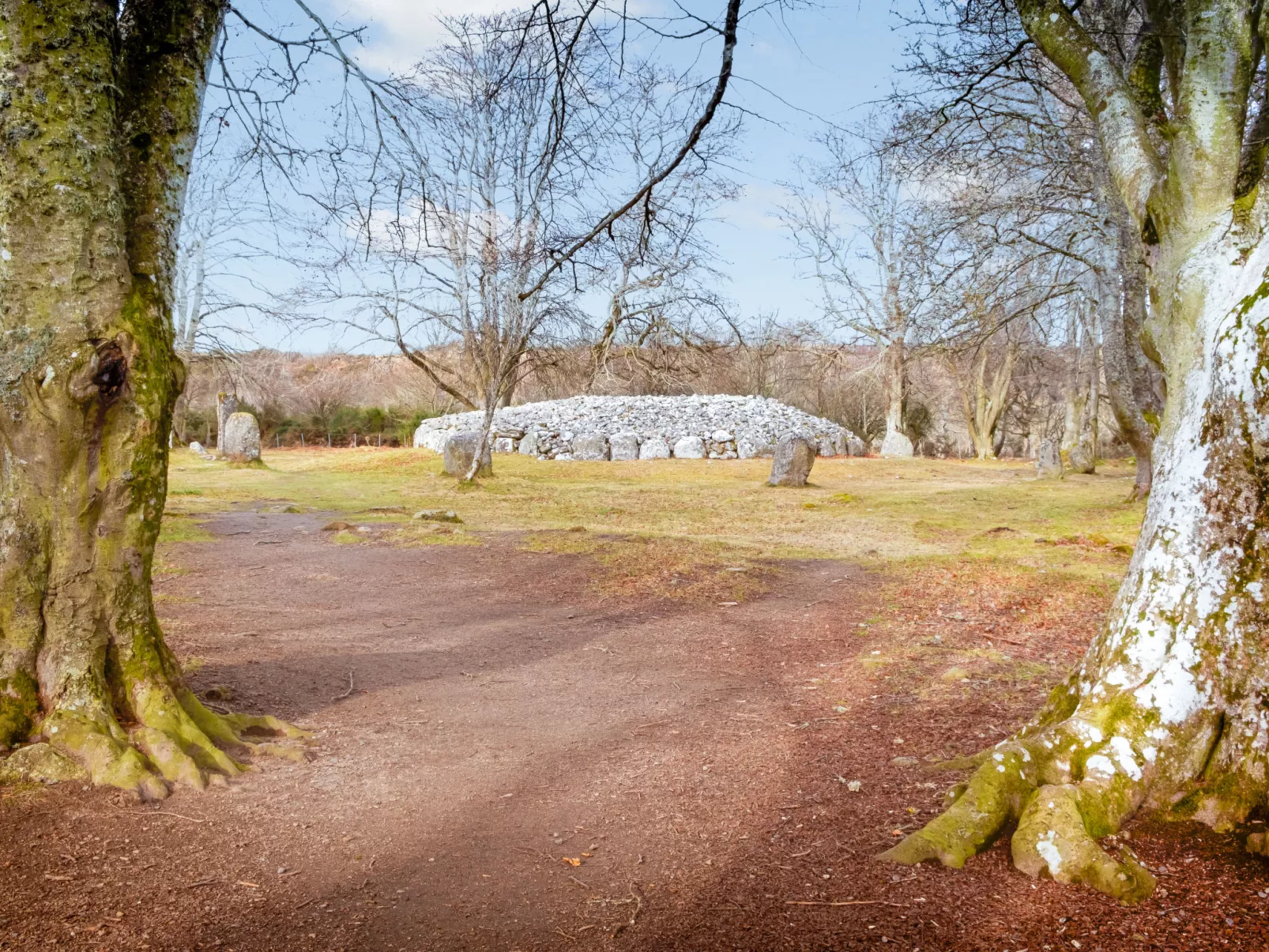Affric 3-Environnement
