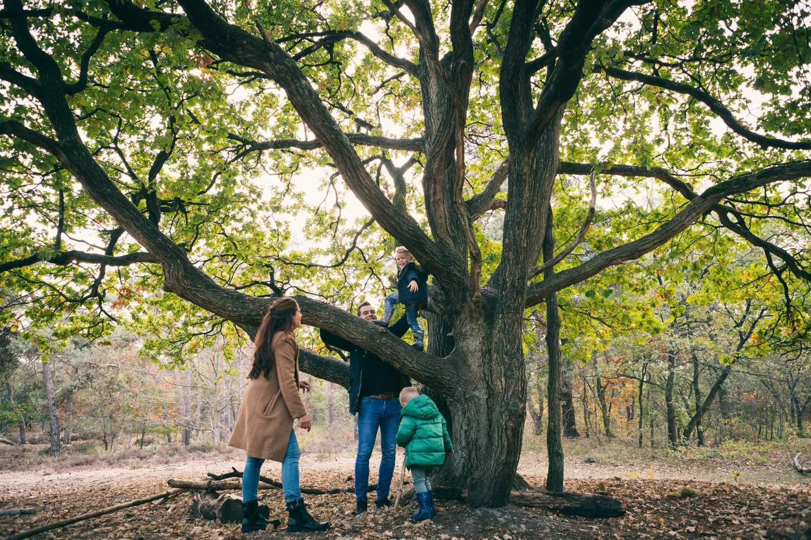 Vakantiepark de Katjeskelder 16-Ambiente