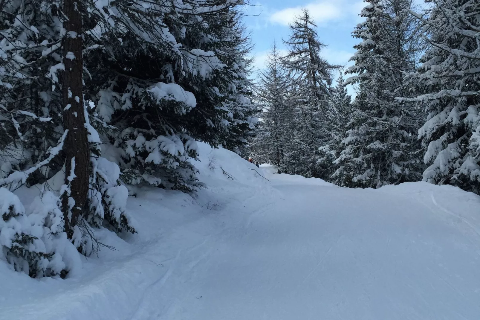 Chalet Panaga-Area winter 5km