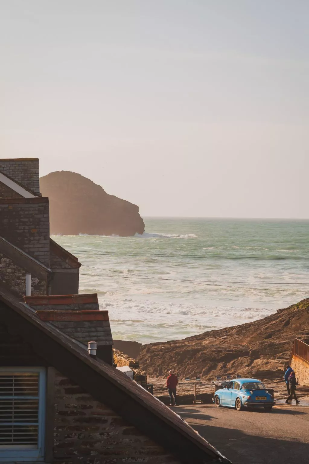 Salty Sea Dog-Area