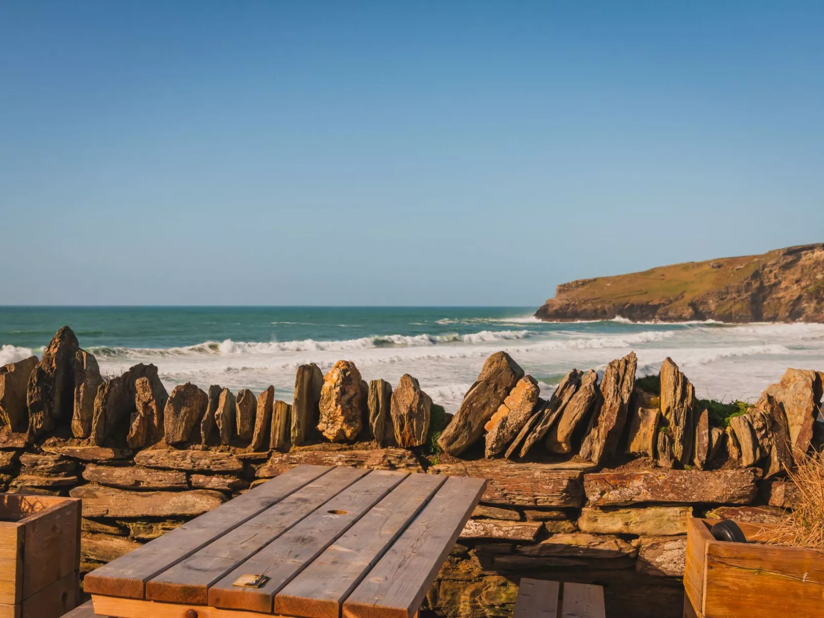 Salty Sea Dog-Area