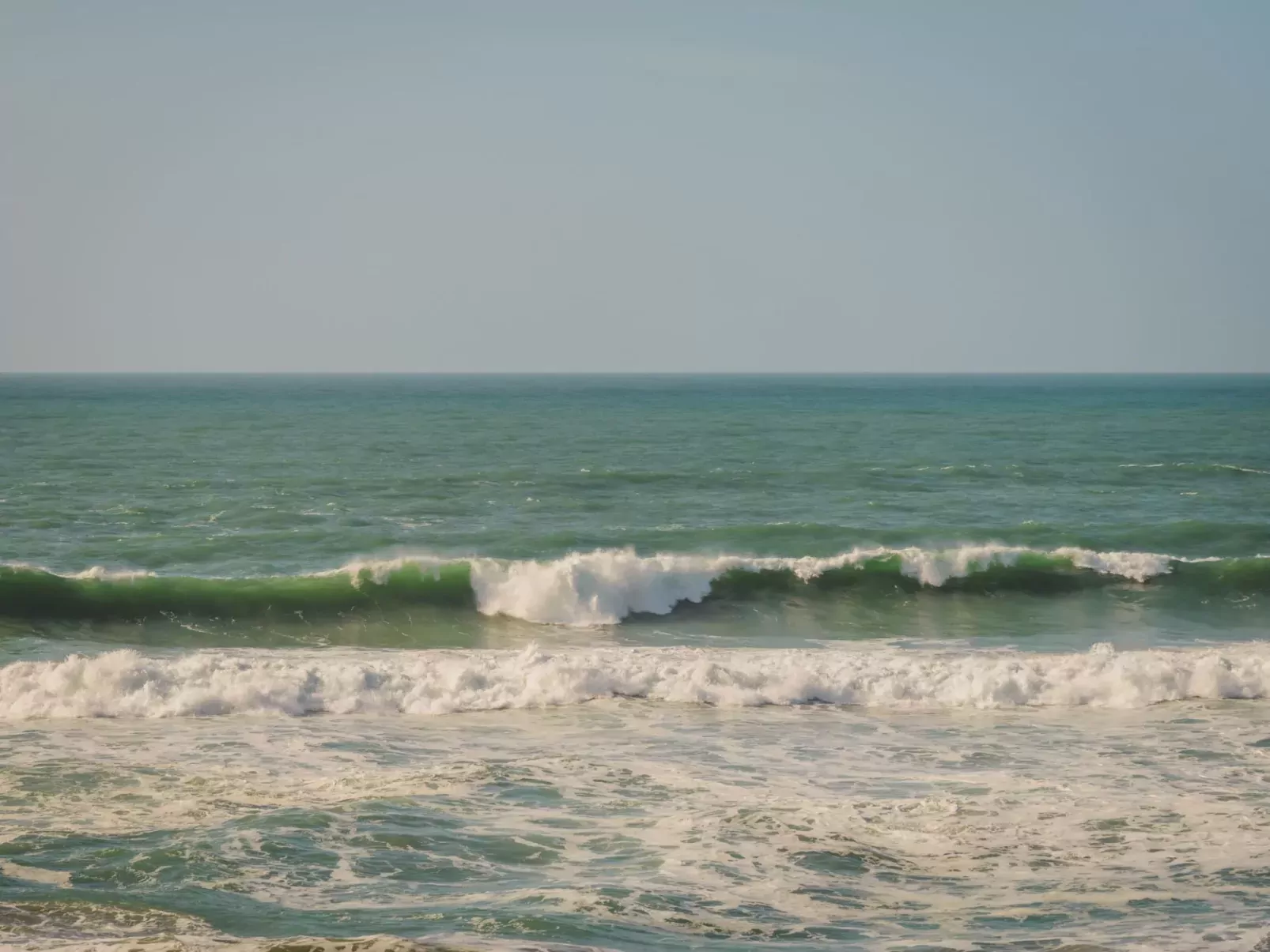Salty Sea Dog-Area