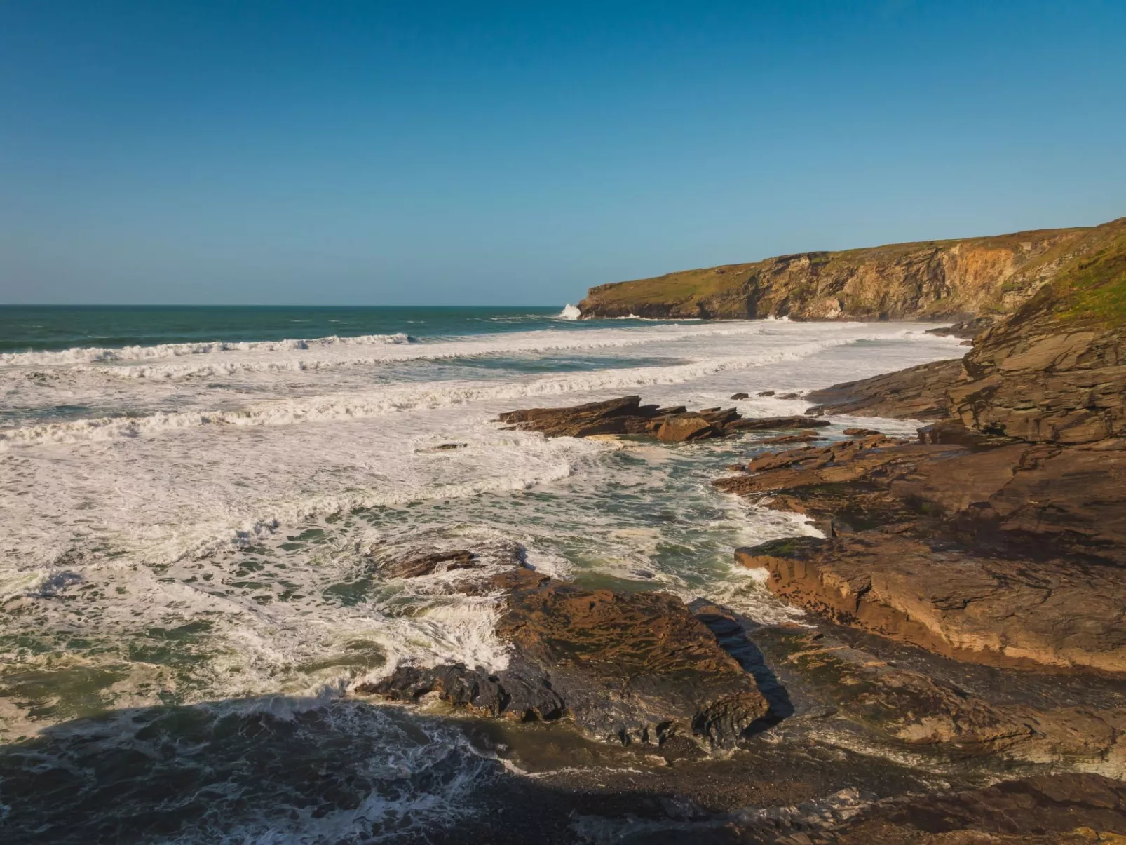 Salty Sea Dog-Area