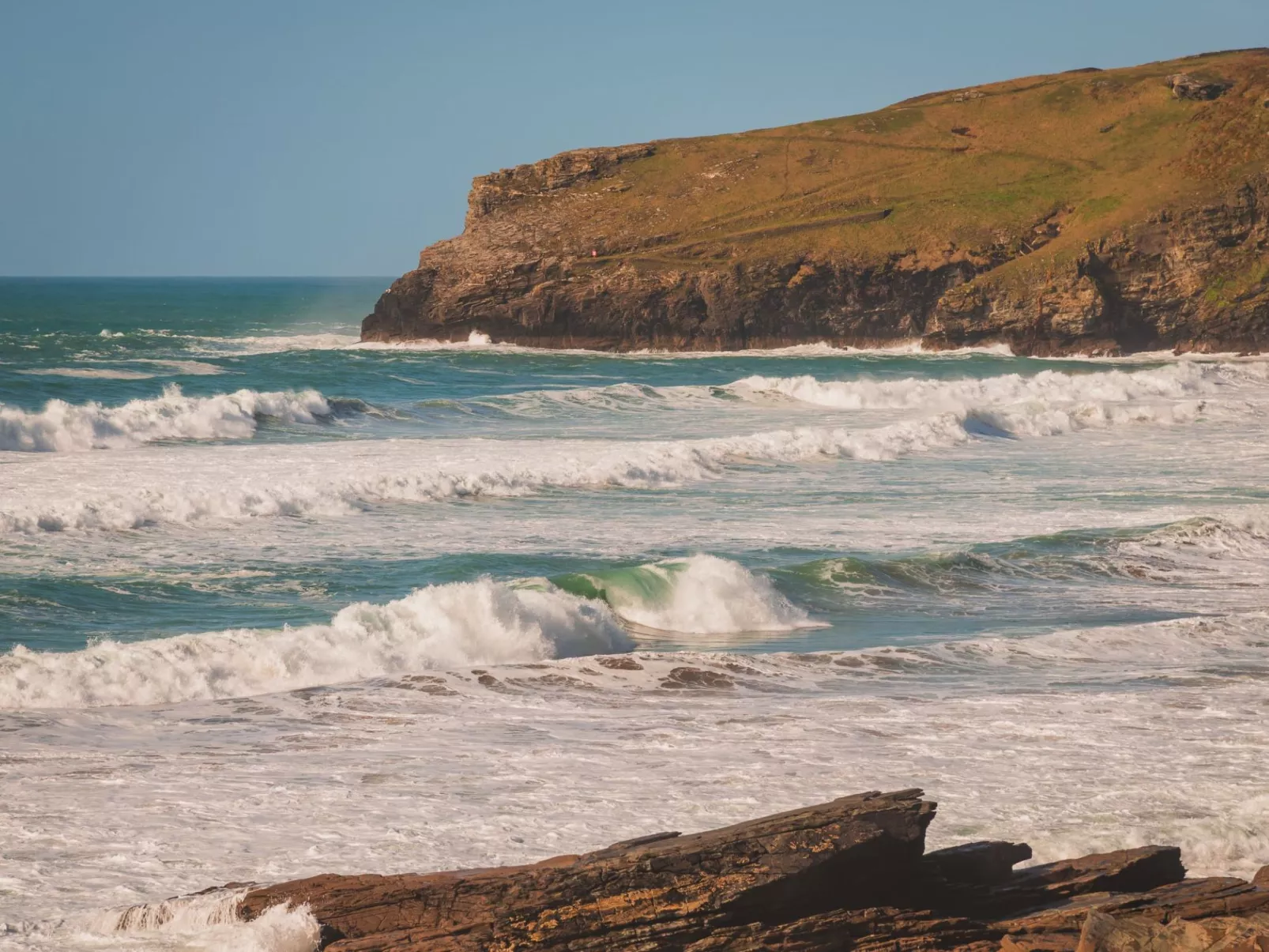 Salty Sea Dog-Area