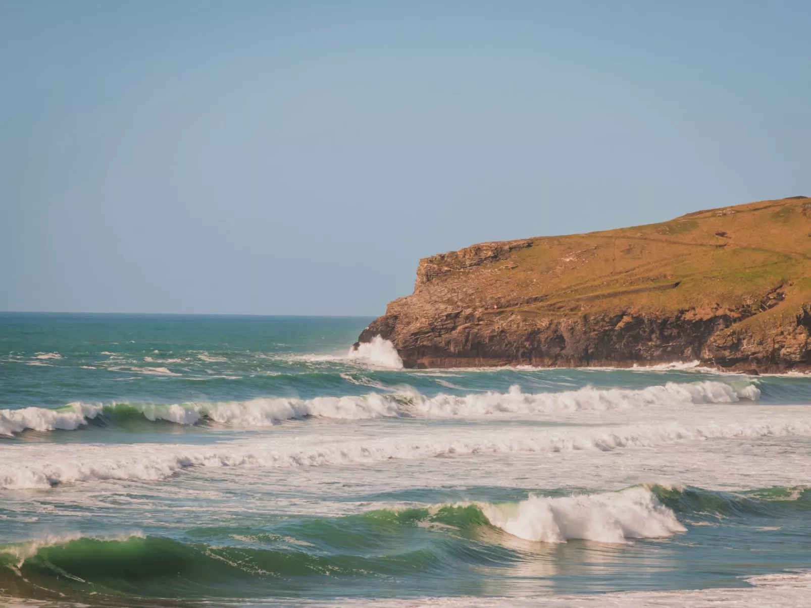 Salty Sea Dog-Area