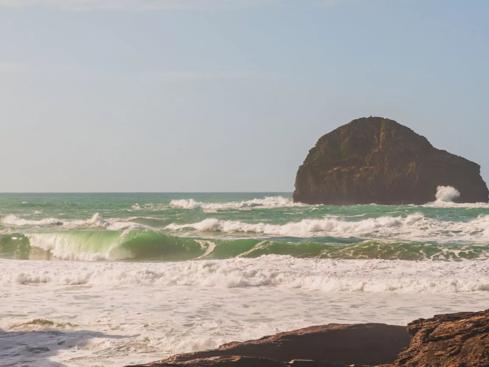 Salty Sea Dog-Area