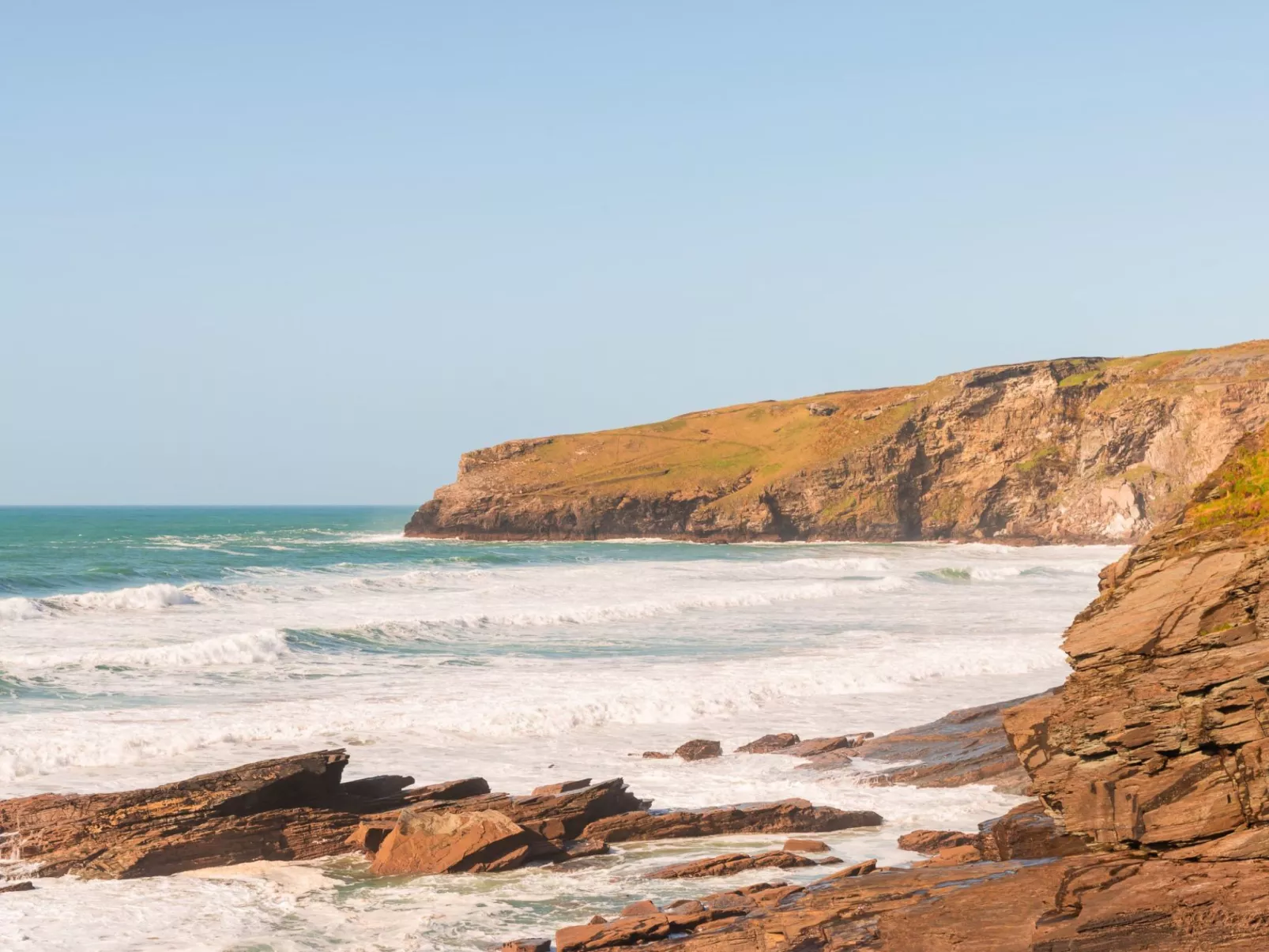 Salty Sea Dog-Area