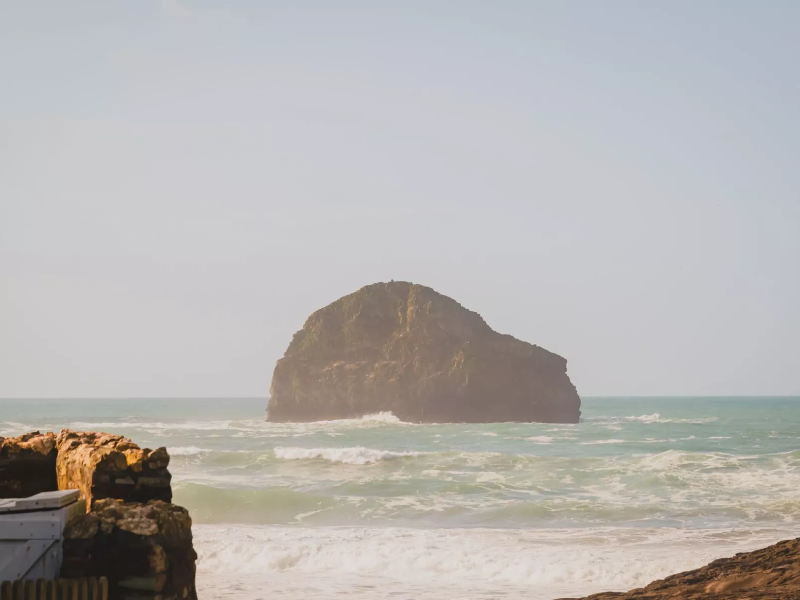 Salty Sea Dog-Area