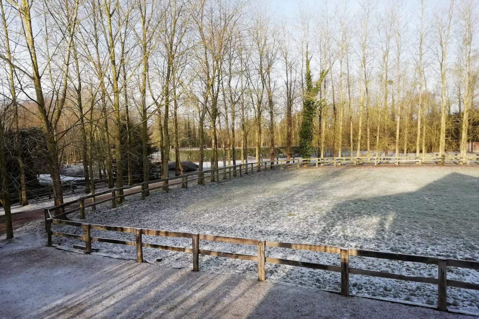 Gite 2-Garden winter