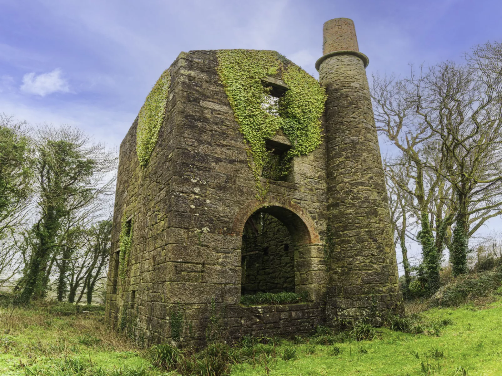 Wheal Francis-Area