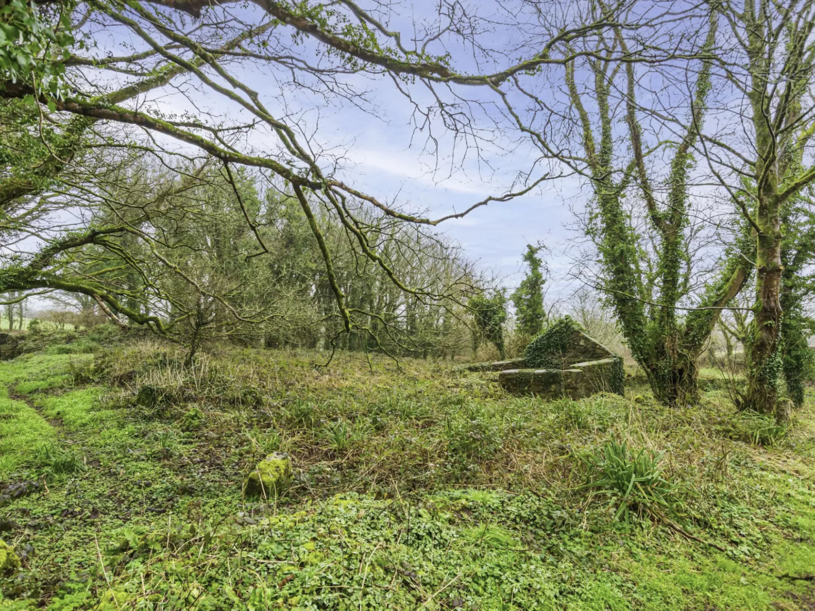 Wheal Francis-Area
