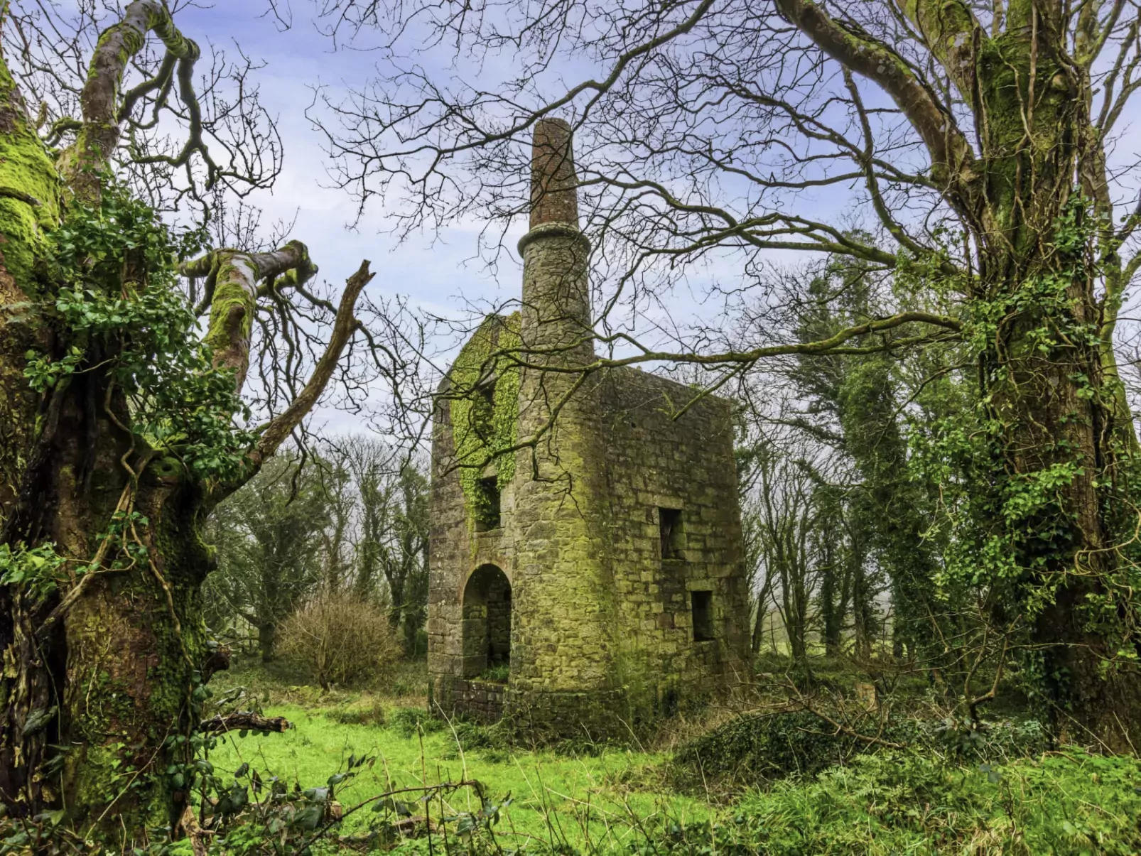 Wheal Francis-Area