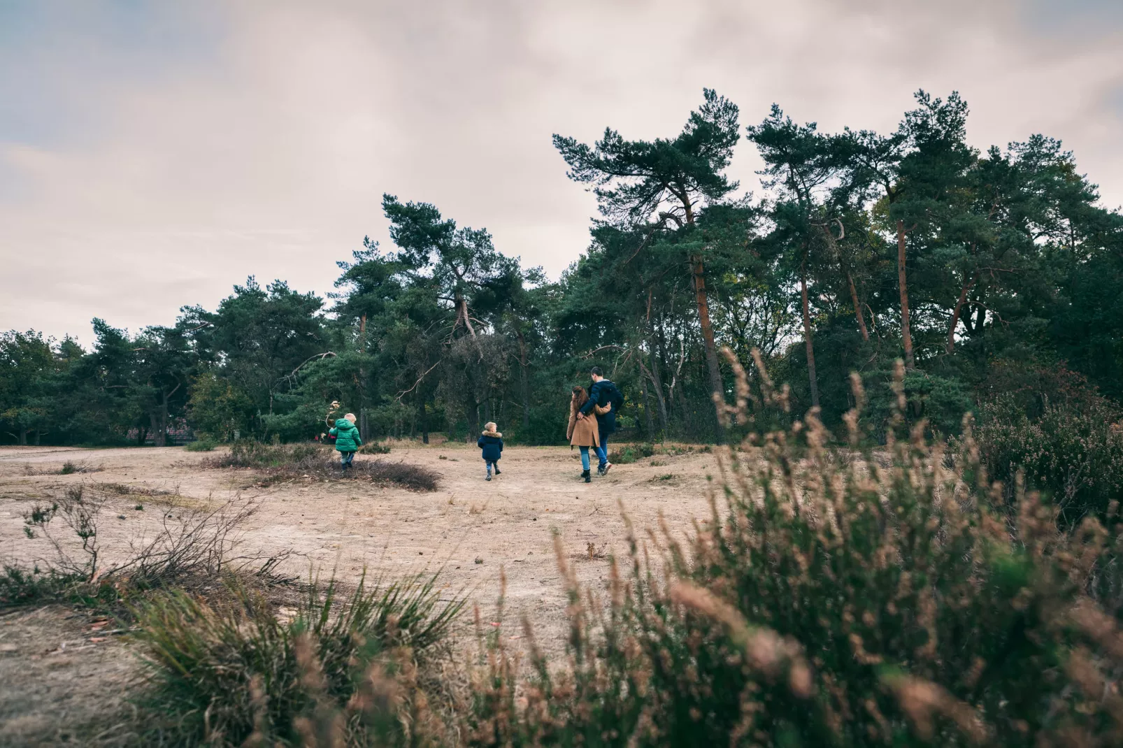Vakantiepark de Katjeskelder 17-Areas summer 5km