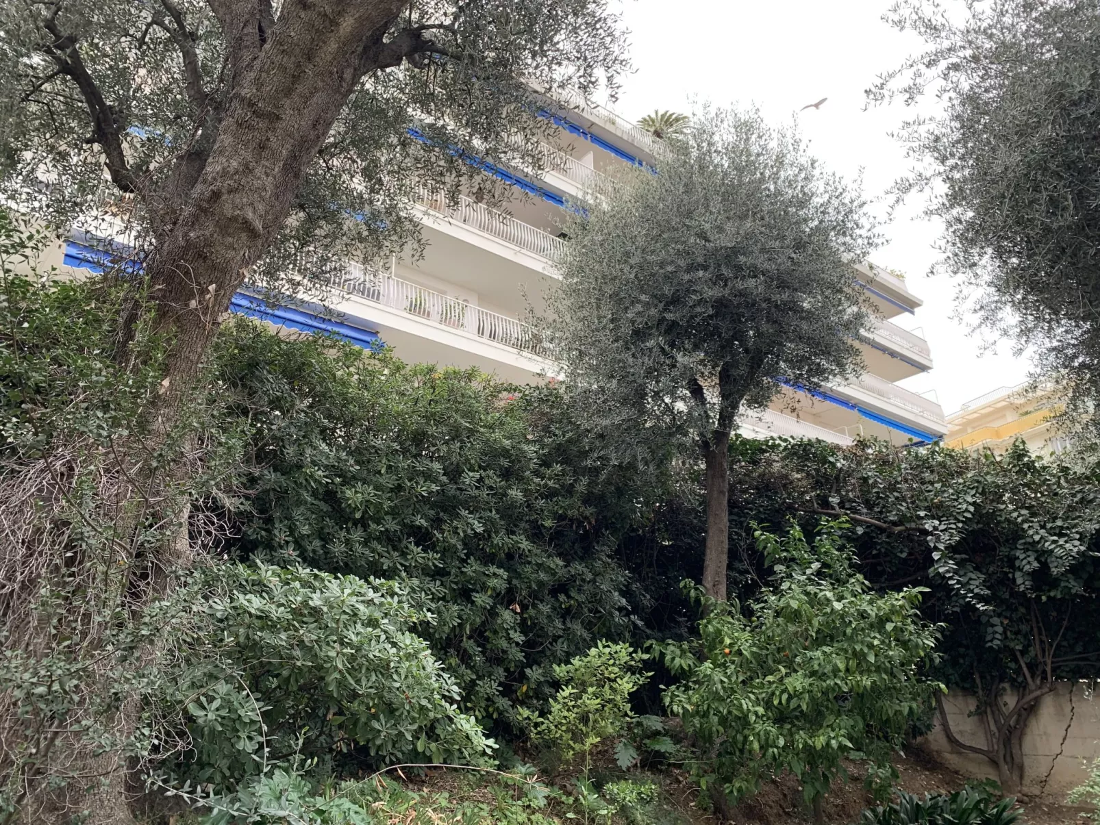 Le Palais Niçois-Outside