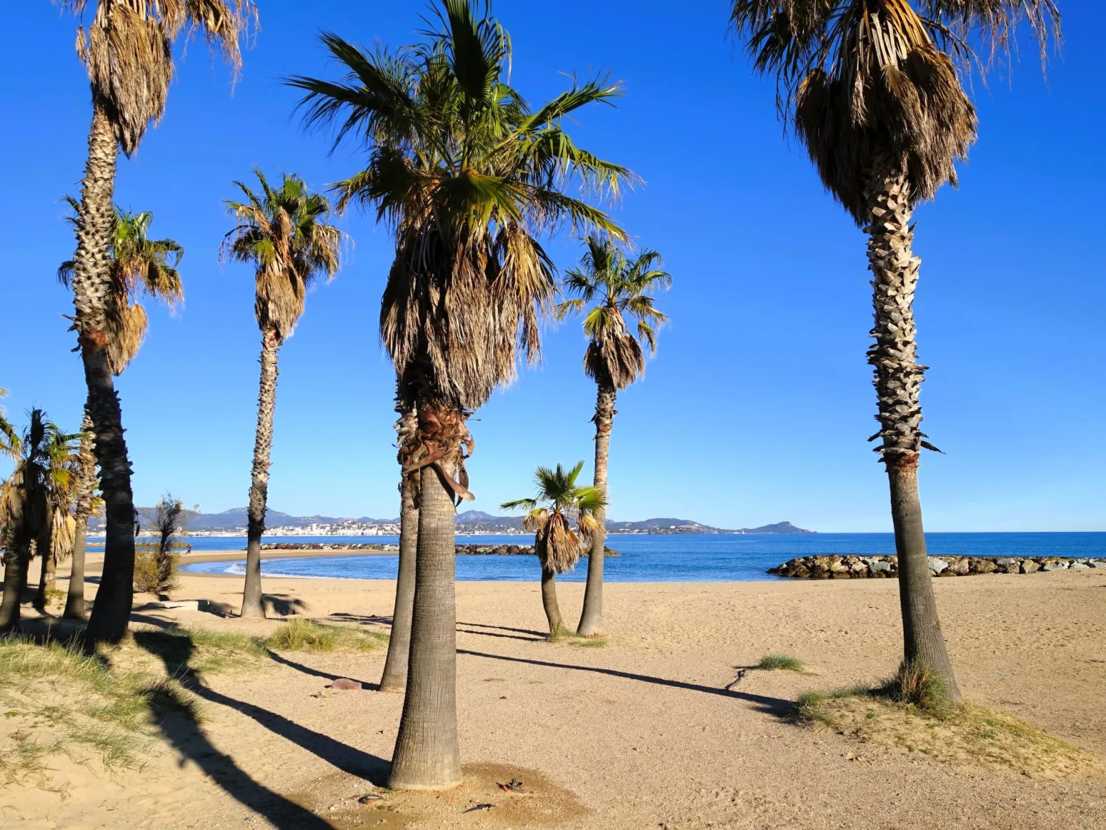 Le Vallon des Chenes-Area
