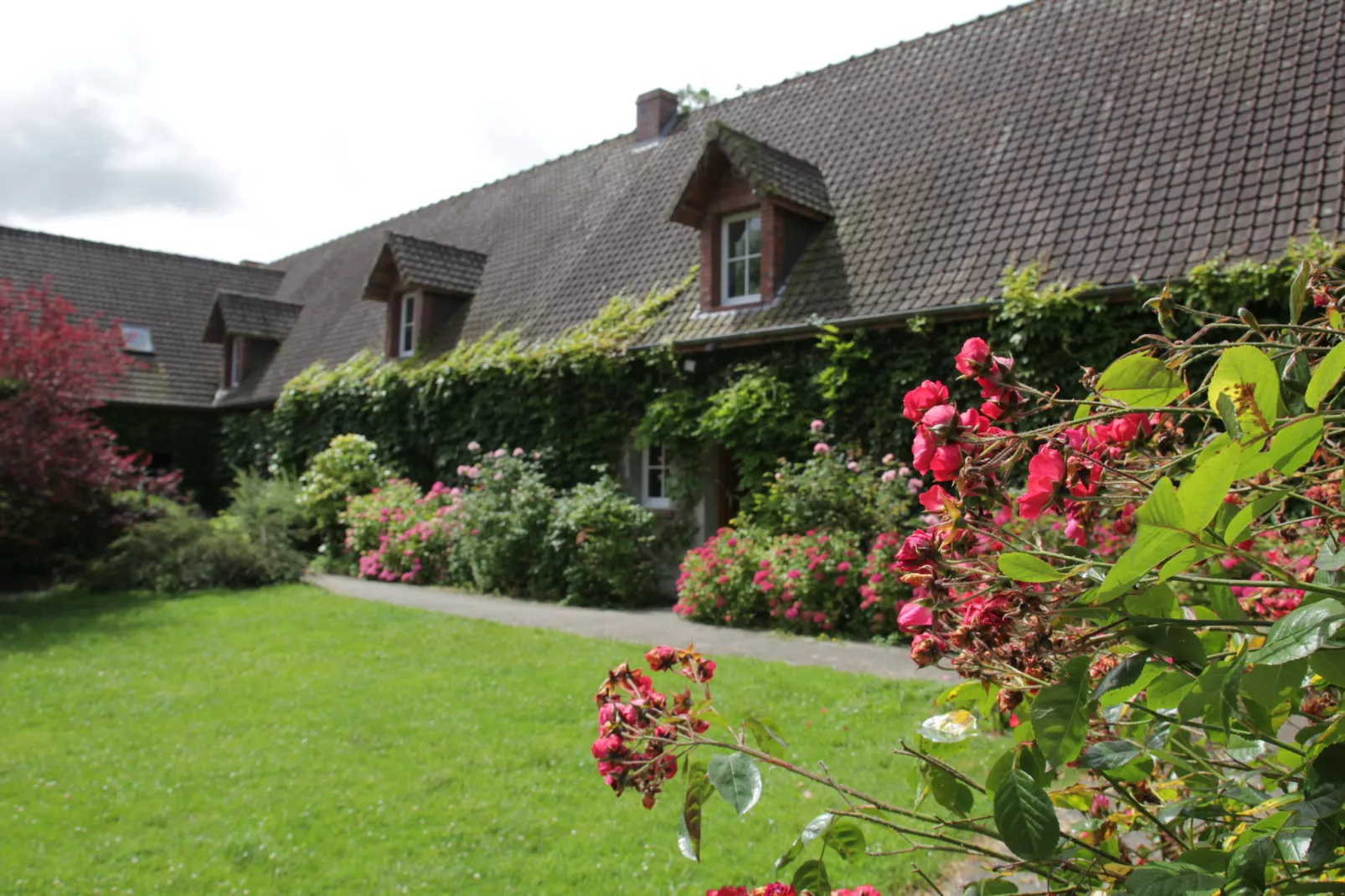 Gite 5-Gardens summer