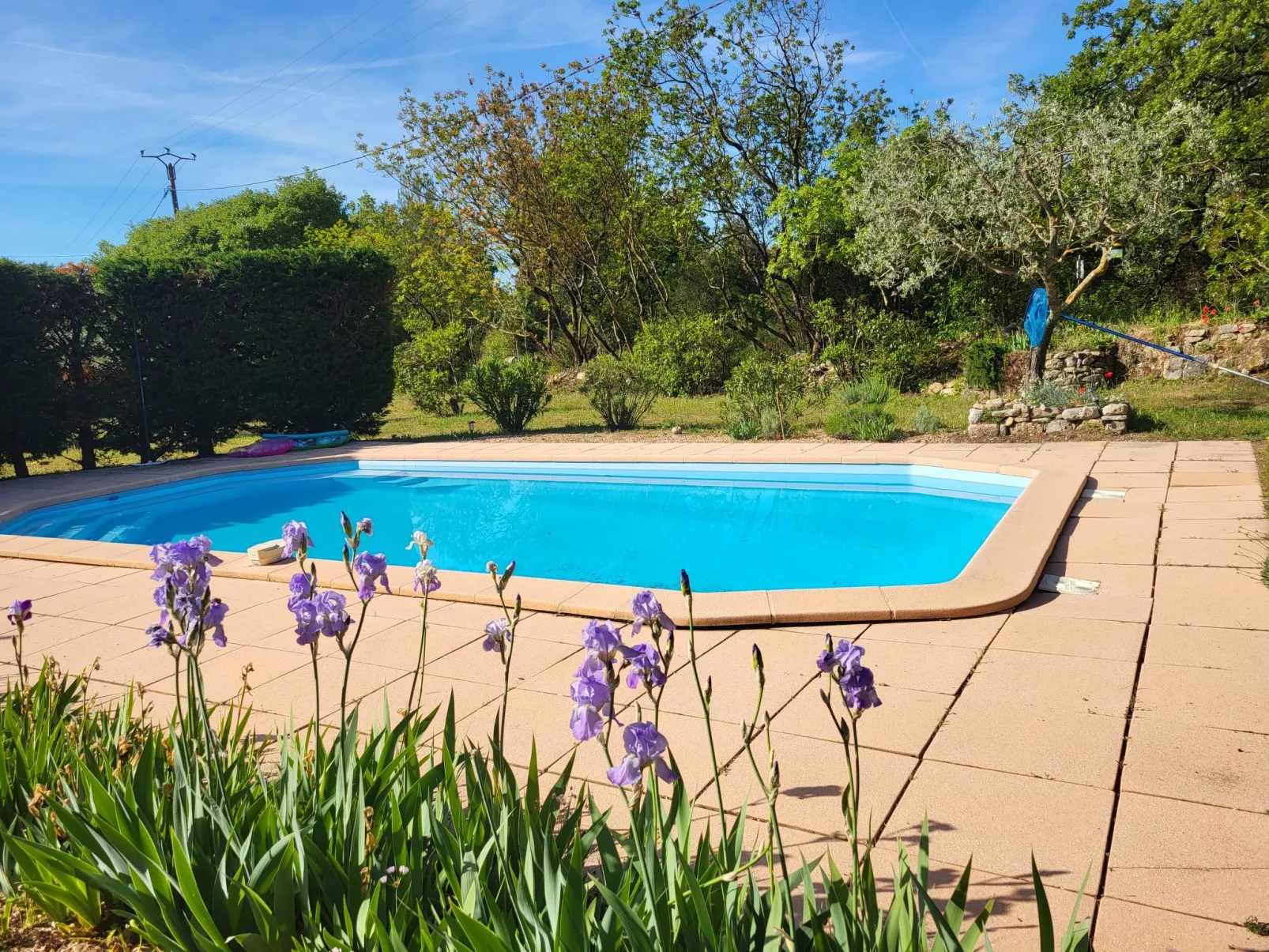 Villa Camilia-Outside