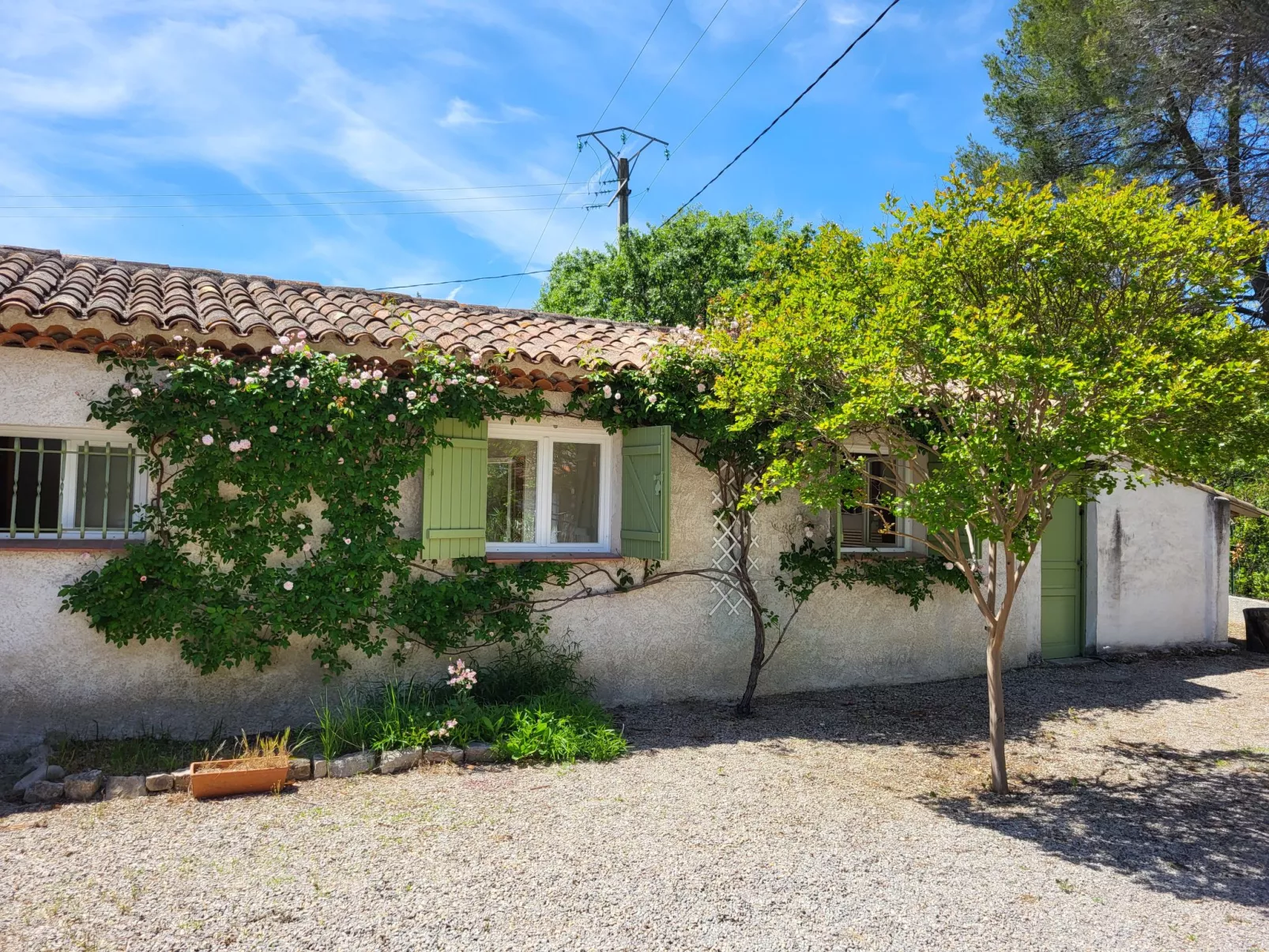 Villa Camilia-Outside