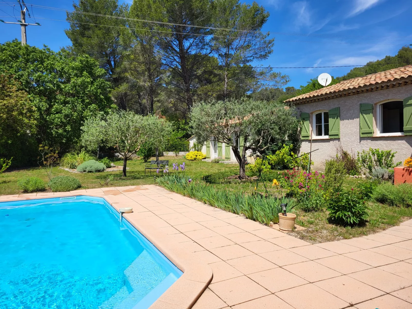 Villa Camilia-Outside