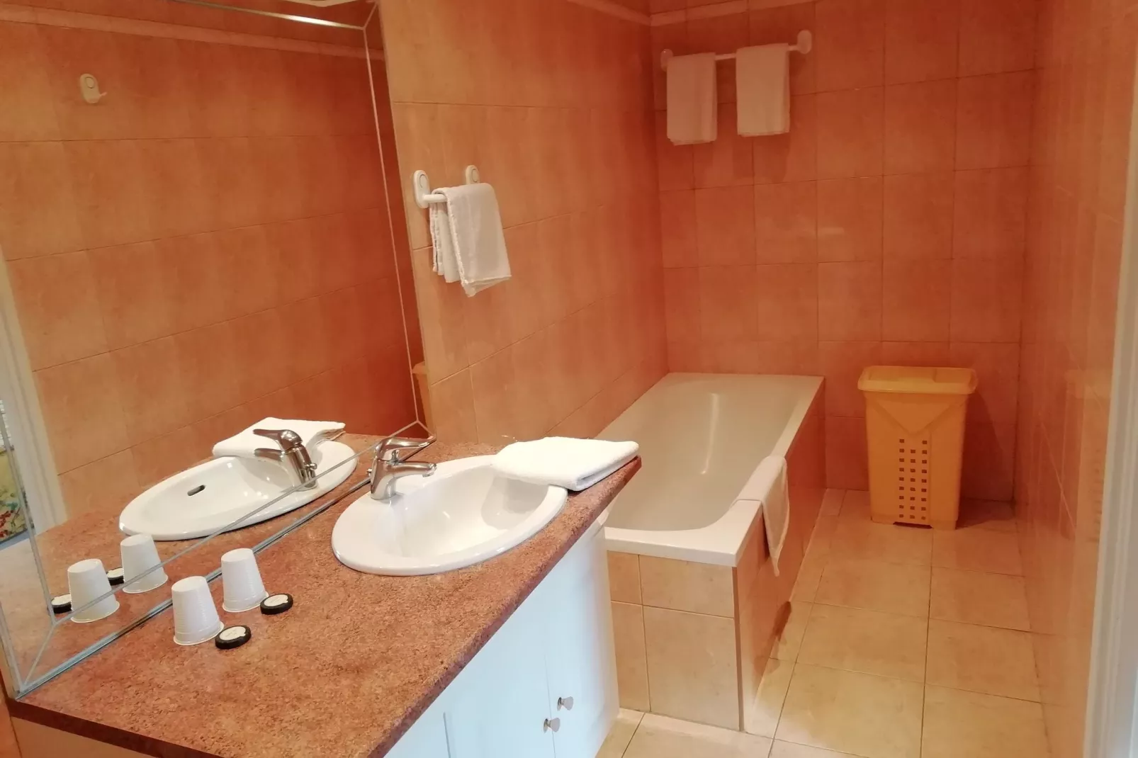 Gîte 6-Bathroom