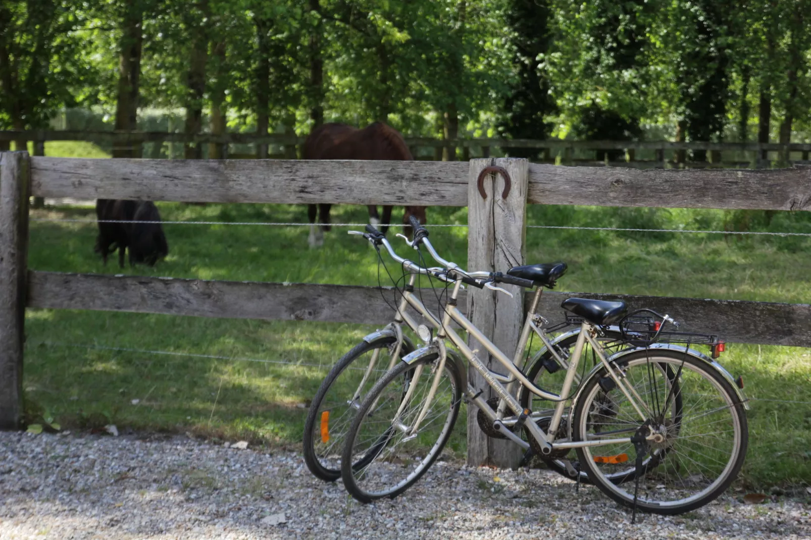 Chalet 1-Park facilities