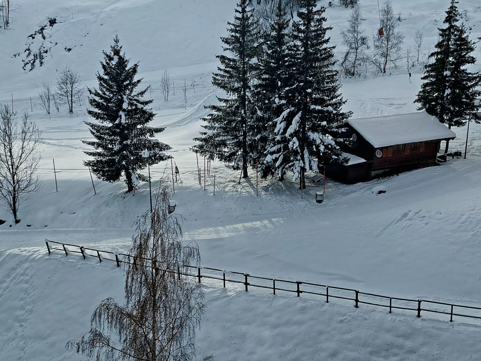 Pegase Phenix-Outside