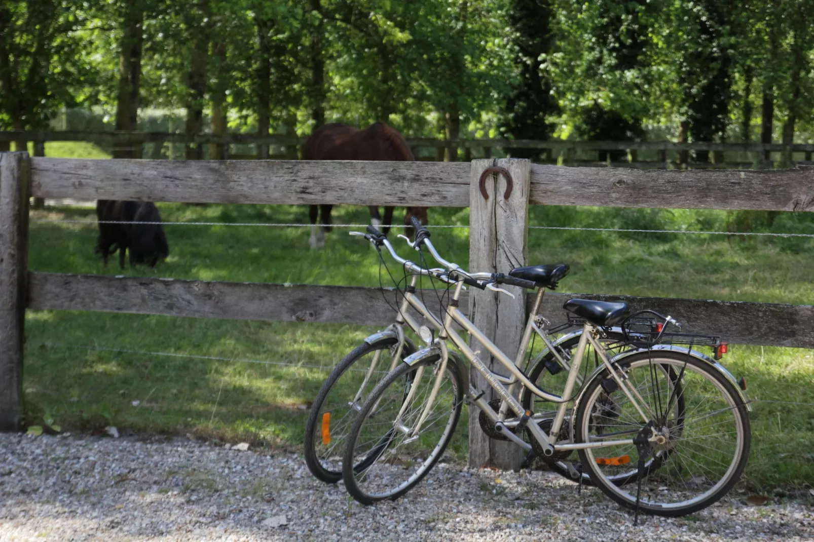 Gîte 9-Park facilities