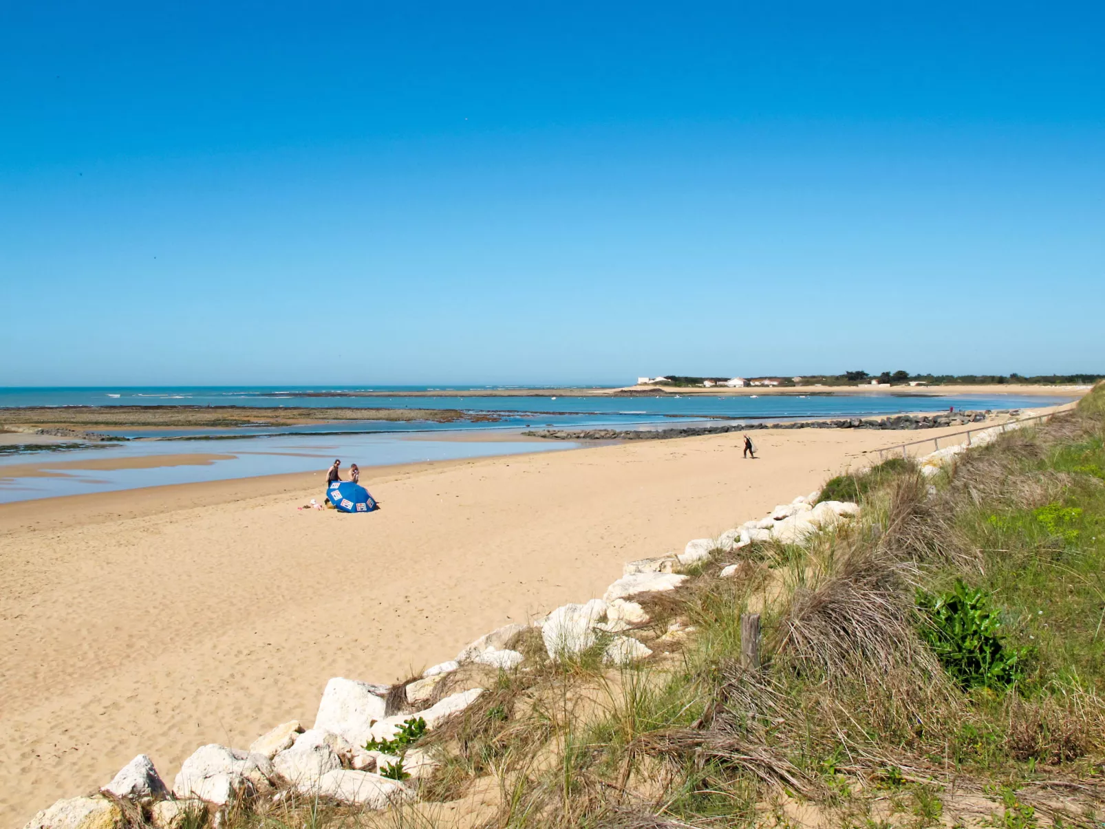 Douce Alouette-Area