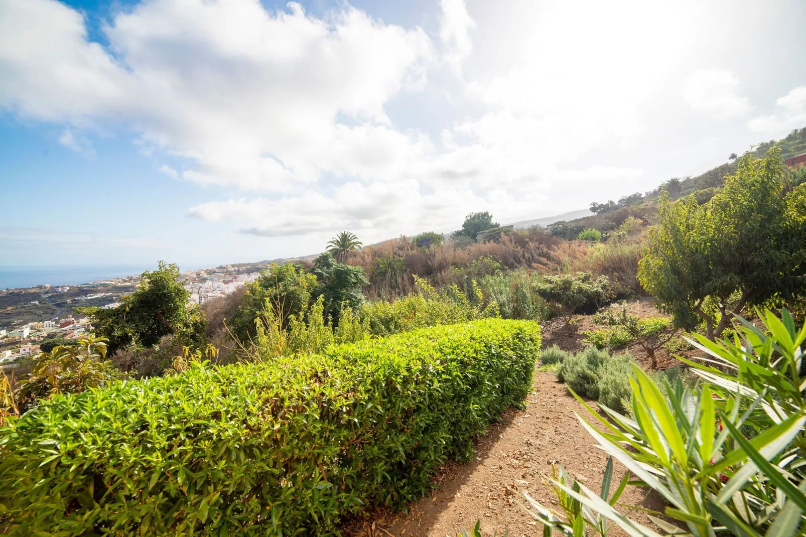 La Bodega-Gardens summer