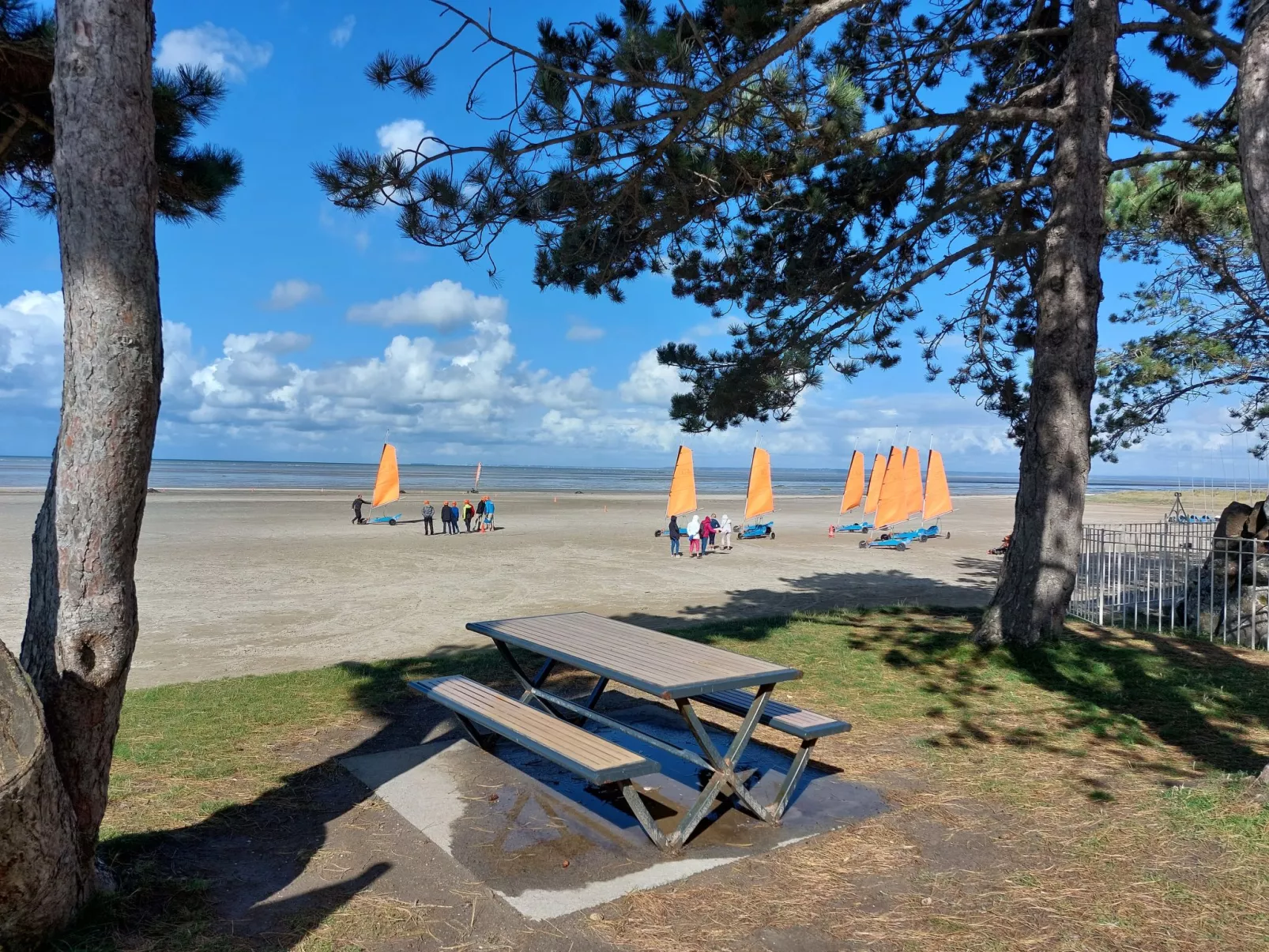 Les yeux dans la baie-Area