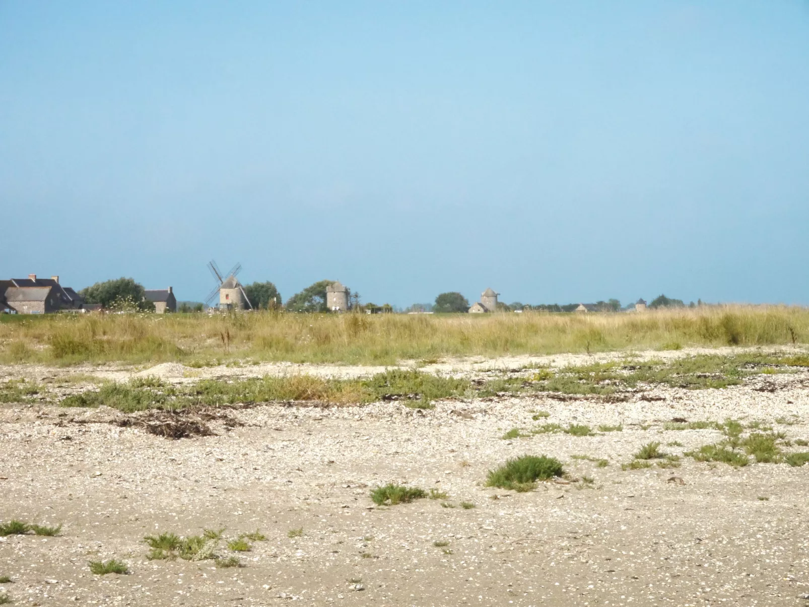 L'atelier des rêves-Area