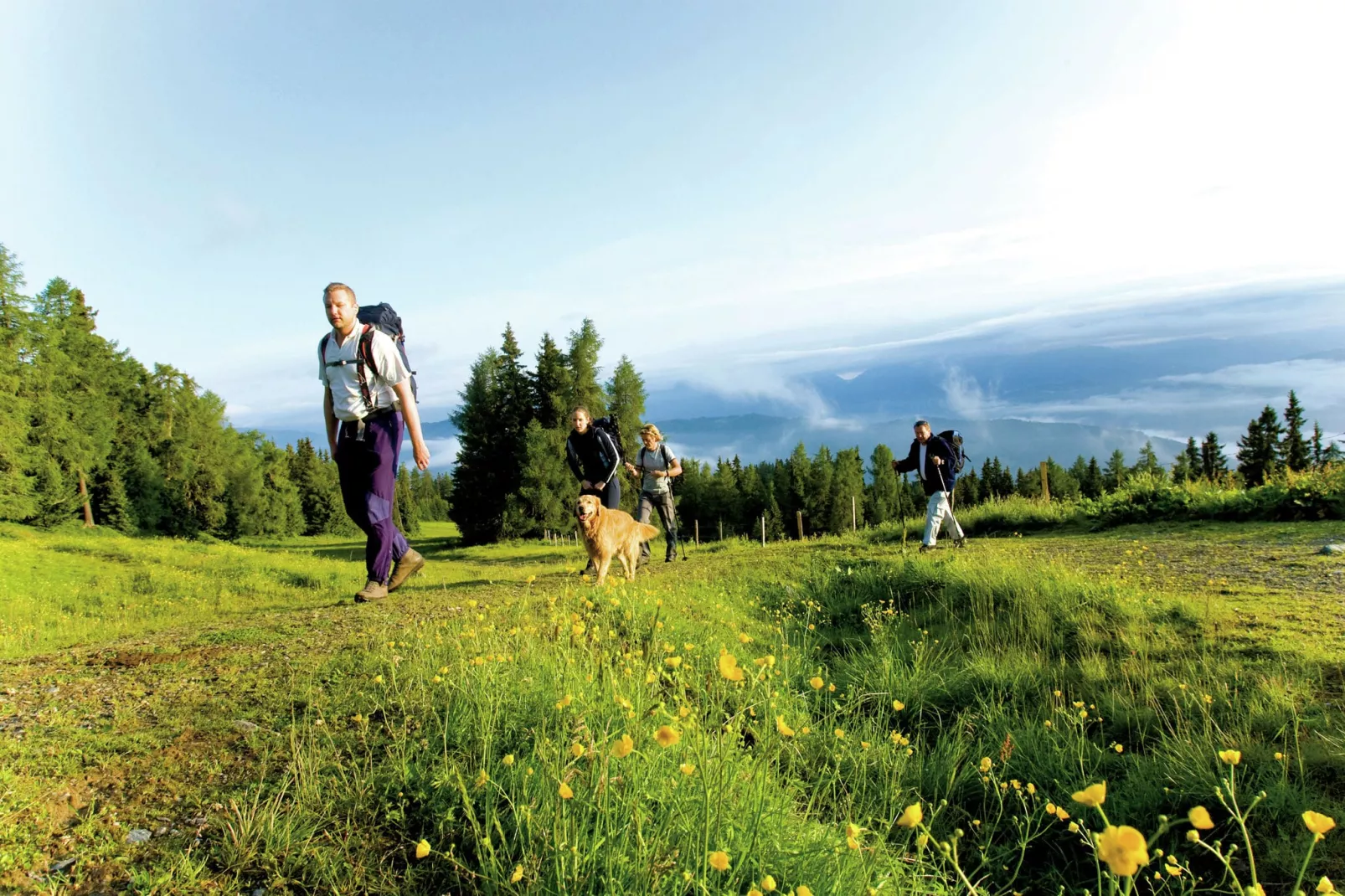 Ferienpark Kreischberg 5-Areas summer 5km