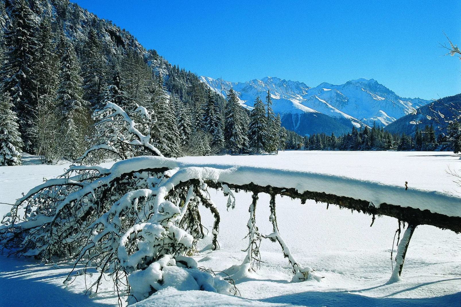 Des Etoiles-Area winter 20km