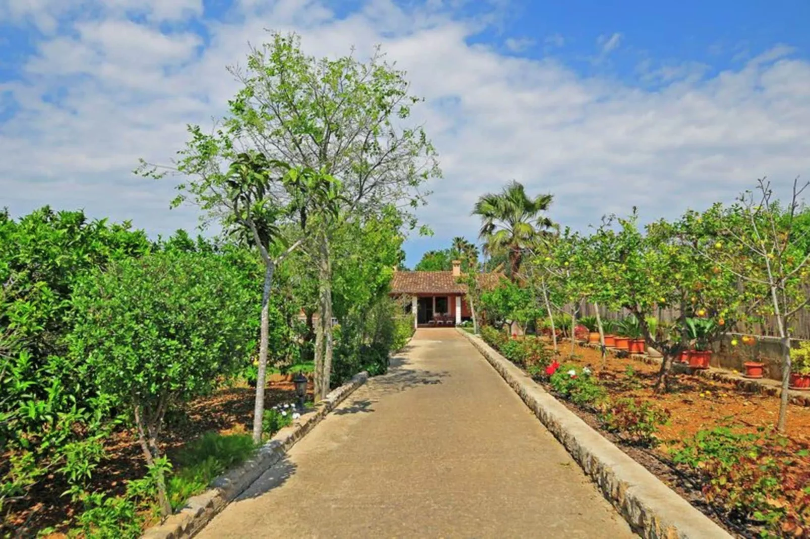 Tramuntana-Gardens summer