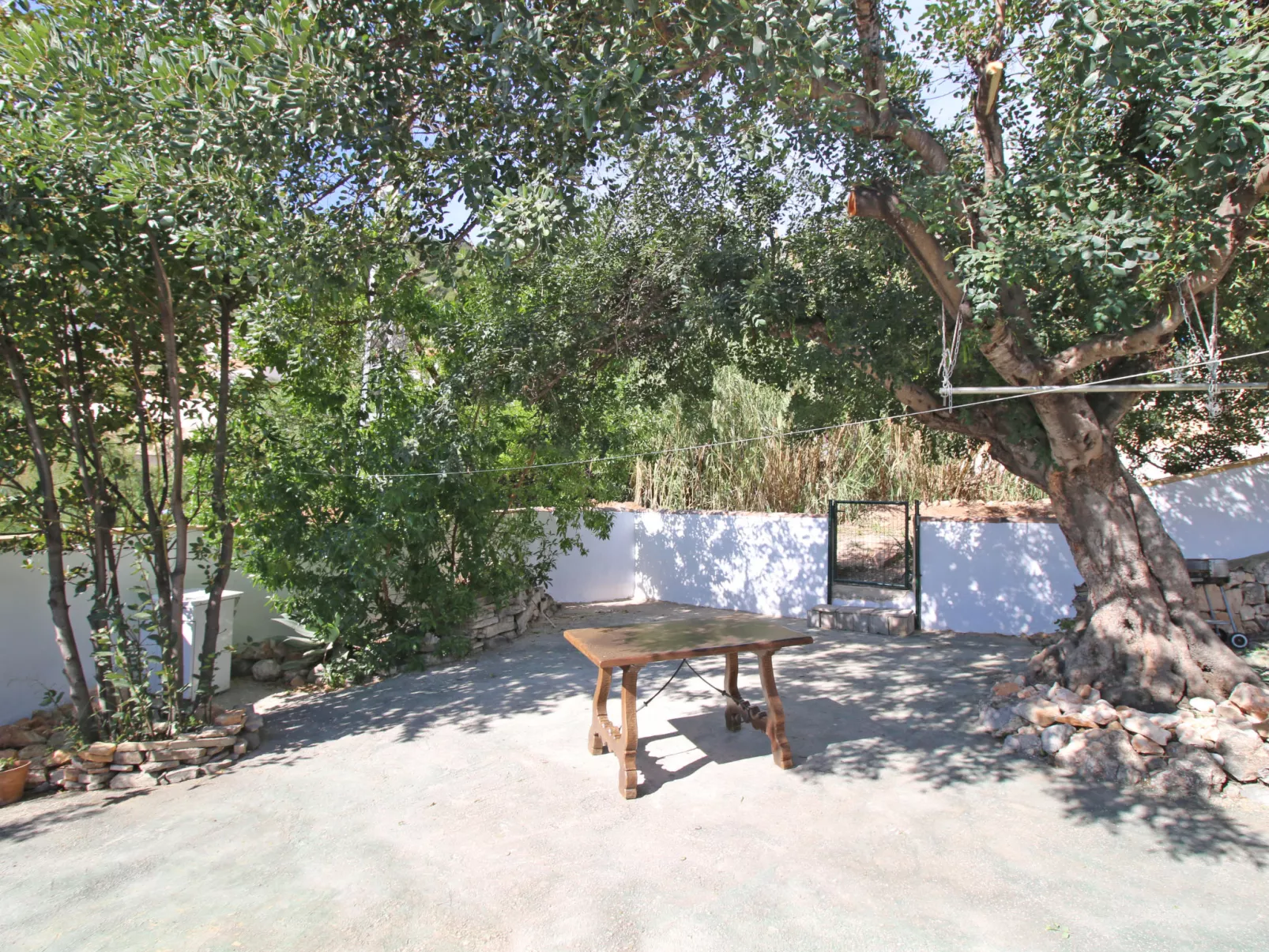 Mimosa-Outside