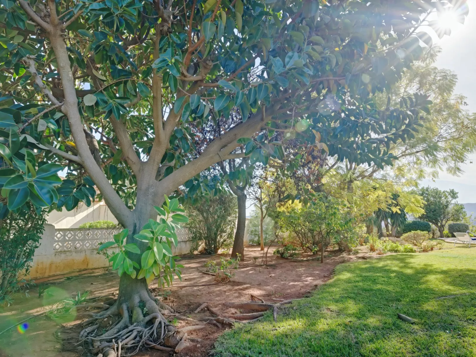 Villa del Tauro-Outside
