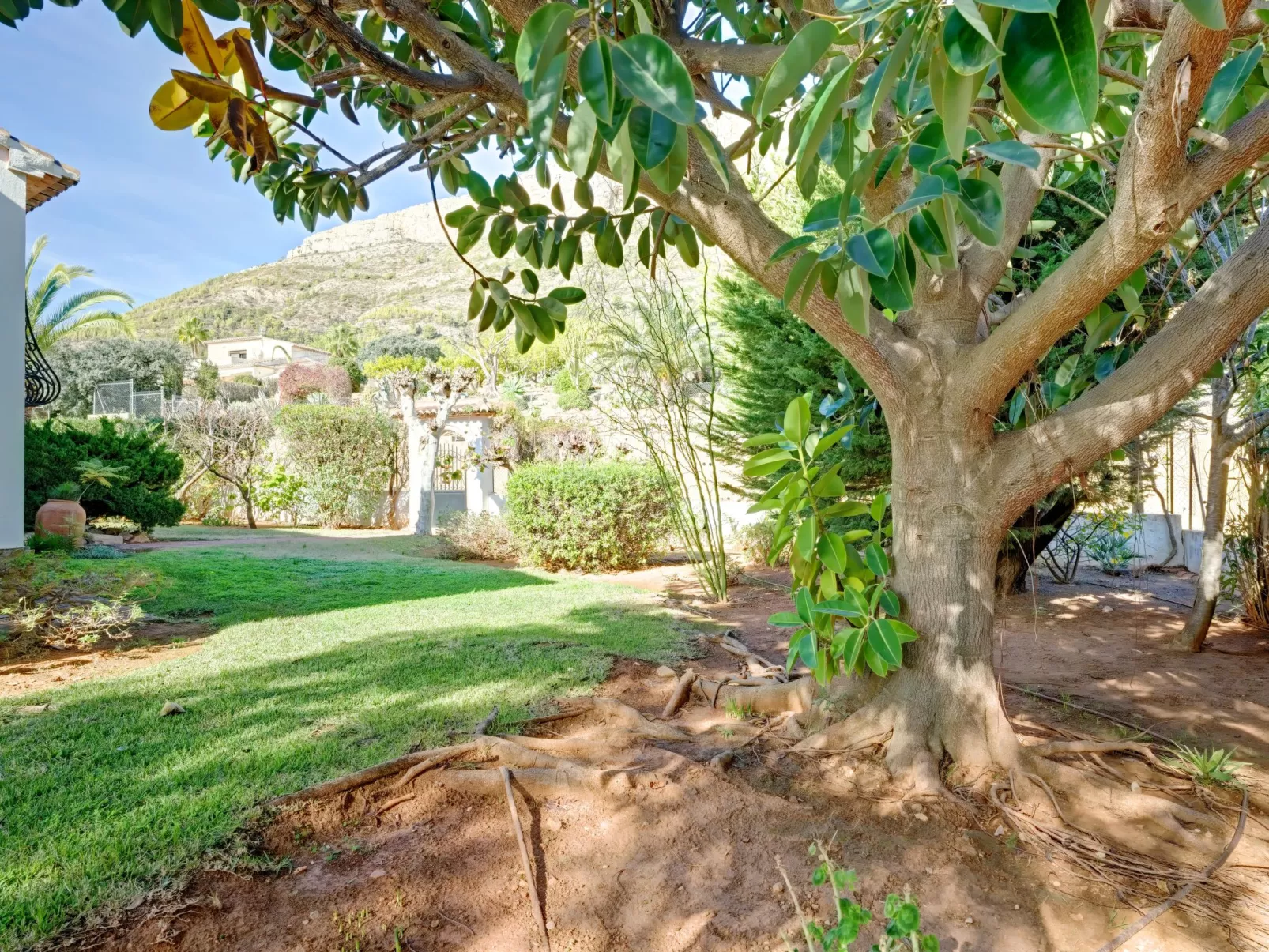 Villa del Tauro-Outside