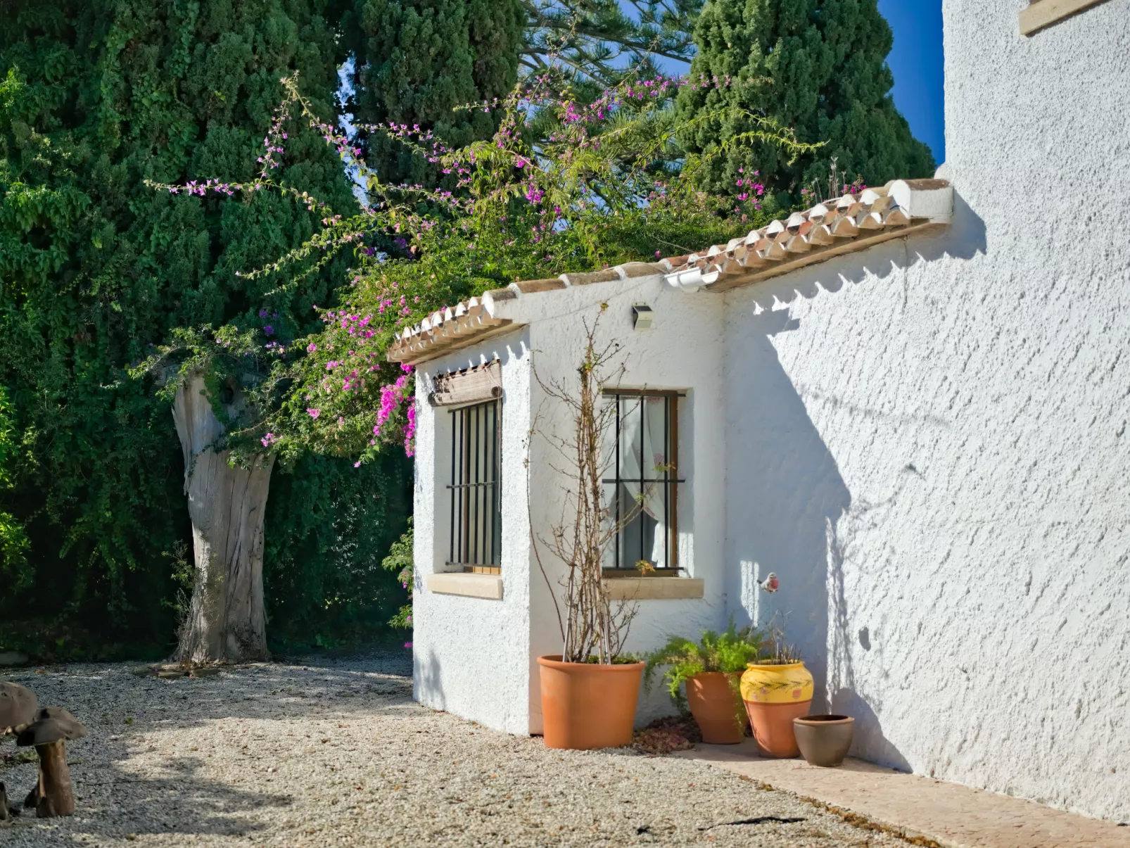 El Cachirulo-Outside