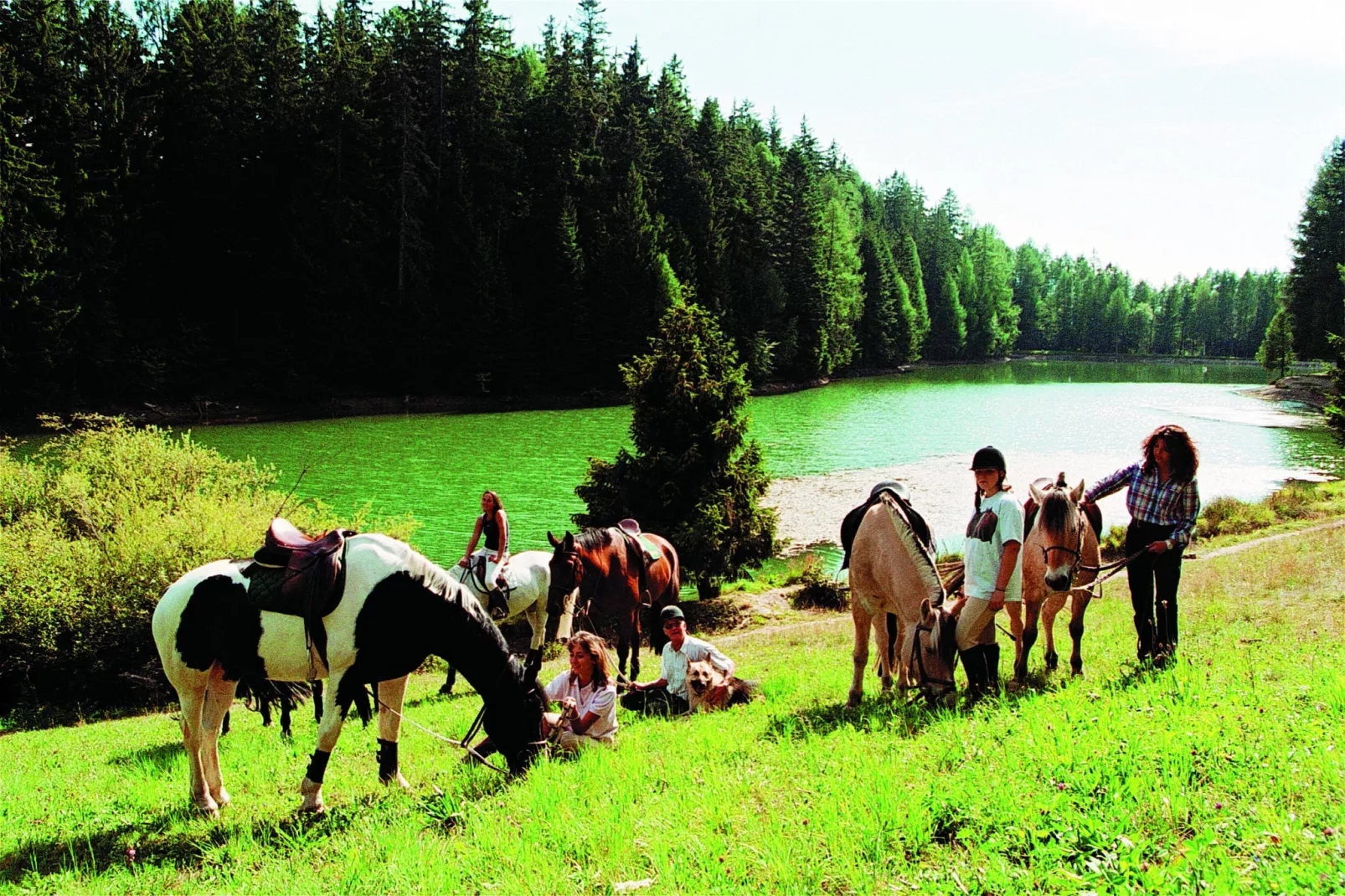 Chalet Albert-Gebiete Sommer 20 km
